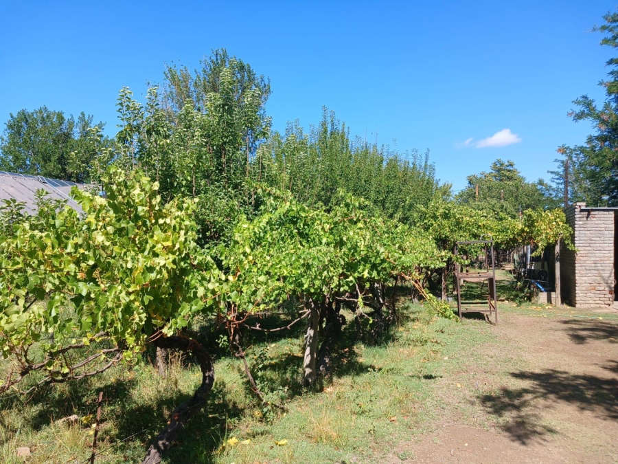 3 Bedroom Property for Sale in Bethulie Free State